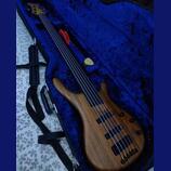 Mayones BE5 fretless