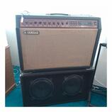 YAMAHA DG100