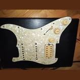 Pickguard hss