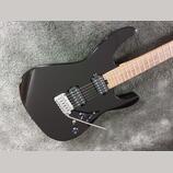 Charvel Pro Mod  DK 24 2 PT HH