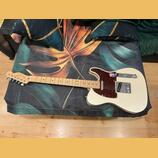 Prodam Fender telecaster deluxe usa