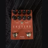 Flamma Ekoverb FS22 (delay + reverb)