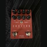 Flamma Ekoverb FS22 (delay + reverb)