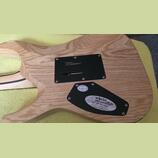 Schecter Reaper-6 FR S