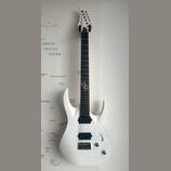 Washburn PX-Solar 160WHM 