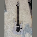 Ibanez PWM20 Paul Waggoner Signature (White)
