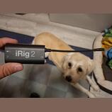 iRig 2