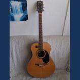 Kytara Vintage V-300