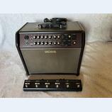 Boss Acoustic Singer Pro