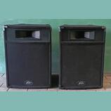 Peavey PRO15