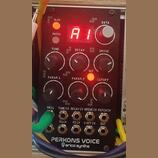 Erica Synths Perkons Voice modular / eurorack