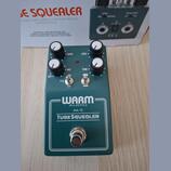 Tube squealer