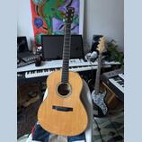 Larrivee L-05 Canada
