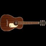 Gretsch Jim Dandy Parlor FRS