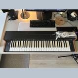 Vermona Piano Strings