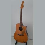 Fender Sonoran SCE