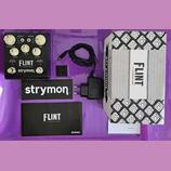 Strymon Flint (v1) – Tremolo & Reverb