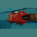 PRS SE Custom 22