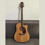 Takamine GD93CE-NAT