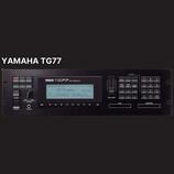 Koupím Yamaha TG77