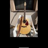Seagull Performer CW Mini Jumbo HG Presys II