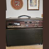 Boss Acoustic Singer Pro 120W