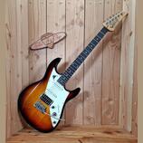 James Tyler Variax JTV-69