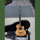 Yamaha APX 1200II NT