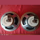 Dvě stejné reproduktorové jednotky s kovovým rámem a bílými středovými štítky. Na štítcích je uveden nápis PROFESSIONAL LOUDSPEAKER, značka CELESTION…