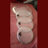 Čtyři průhledné bubny na bicí nástroje různých velikostí, uspořádané za sebou. Každý buben má černý kulatý štítek s bílým nápisem SONOR a textem MADE…