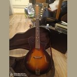 Kytara typu mandolina s tmavě hnědým sunburst povrchem a f-otvory. Na hlavě je viditelné logo ve tvaru ptačího profilu, ladící kolíčky jsou bílá. Nás…