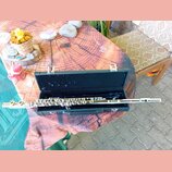 Stříbrná flétna položená v otevřeném černém tvrdém kufru. Na těle nástroje není vidět žádný značka ani model. Povrch flétny je lesklý, kufřík má dvě…