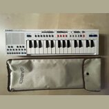 Bílý elektronický klavír s nápisem CASIO PT-30 ELECTRONIC MUSICAL INSTRUMENT. Nástroj má bílé klávesy, modrá a šedá tlačítka a v horní části ovládací…