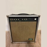 Kytarový kombo zesilovač v hliníkovém flightcase s černou rukojetí a kovovými rohy. Horní ovládací panel je zelený s bílými nápisy INPUTS, VOLUME, ov…