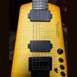 Elektrická kytara s žlutým plamenovitým povrchem těla. Na těle jsou dva černé humbuckery s nápisem EMG a nápis STEINBERGER synapse. V pravé dolní čás…