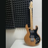 Elektrická kytara s přírodním dřevěným povrchem těla a hmatníkem. Má černý pickguard, dva humbuckery a stříbrný most s šestnácti strunami. Na hlavě j…
