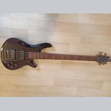 Tmavě fialová elektrická basová kytara s pětistrunným hřidnicí. Na hlavě nástroje je viditelné logo "Schecter". Tělo má lakovaný povrch a čtyři ovlád…