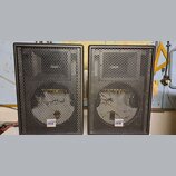 Dva černé reproduktory v bednách s kovovými mřížkami. Na spodní části každého reproduktoru je bílo-modrý štítek s nápisem POWER DANE. Povrch mřížek v…