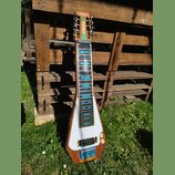 Elektrická lap steel kytara s dřevěným korpusem a bílým krycí plátem. Na hlavě je červený nápis Sondley a pod ním zelený nápis Steel Guitar. Hmatník…