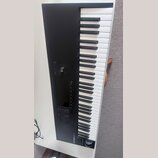 Černý MIDI kontrolér s klaviaturní klávesnicí. Na spodní hraně je bílý nápis ECOCONTROL S61 MKII. Přístroj obsahuje několik ovládacích tlačítek, otoč…