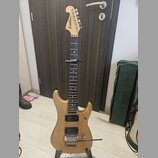 Elektrická kytara s přírodním dřevěným povrchem těla a hmatníkem z tmavého dřeva. Na hlavě je viditelné logo Washburn. Nástroj má konfiguraci snímačů…