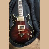 Tmavě červená elektrická kytara s tvarem singlecut v černém pouzdře. Nástroj má dva humbuckery, čtyři ovládací knoflíky a tmavý plechtrguard. Na most…