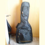 Černý polstrovatý pouzdro (gig bag) na hudební nástroj. Má dvě zipové kapsy, jednu úzkou v horní části a jednu širší ve spodní části. Povrch materiál…