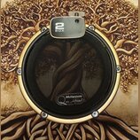 Kruhový popfilter se zlatým kovovým rámem a černou síťovkou. V horní části je upevňovací svorka s nápisem 2 BOX a v dolní části sítě je bílý oválný š…