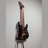 Černá elektrická kytara s hnědým hmatníkem a dvěma humbuckery. Na hlavě nástroje je viditelné logo Schecter. Kytara má nasazený černobílý popruh s ná…