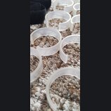 Na fotografii je několik prstenů z průhledného plastu, které leží na vlněném koberci. V levé horní části je vidět část černého textilního popruku. Na…