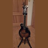 Kytara s polodubnovým tělem v tmavě hnědém sunburst provedení, umístěná na černém stojanu. Na hlavě je bílý nápis Harley Benton a dekorativní bílý or…