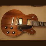 Hnědá elektrická kytara s tvarem single-cutaway a dřevěným povrchem. Nástroj má dva humbuckery s bílými kryty, černý plechtrguard a čtyři ovládací kn…