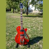Červená polodublová elektrická kytara s f-otvory a zlatým hardwarem. Na hlavě je bílé logo DANELECTRO. Kytara má dva humbuckery, zlatý hnízdový most…