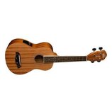 Akustické ukulele s dřevěným povrchem a vyřezem v těle. Na hlavě je viditelné logo "Aloha" a červený symbol ve tvarce P v kruhu. Nástroj má hnědý ods…